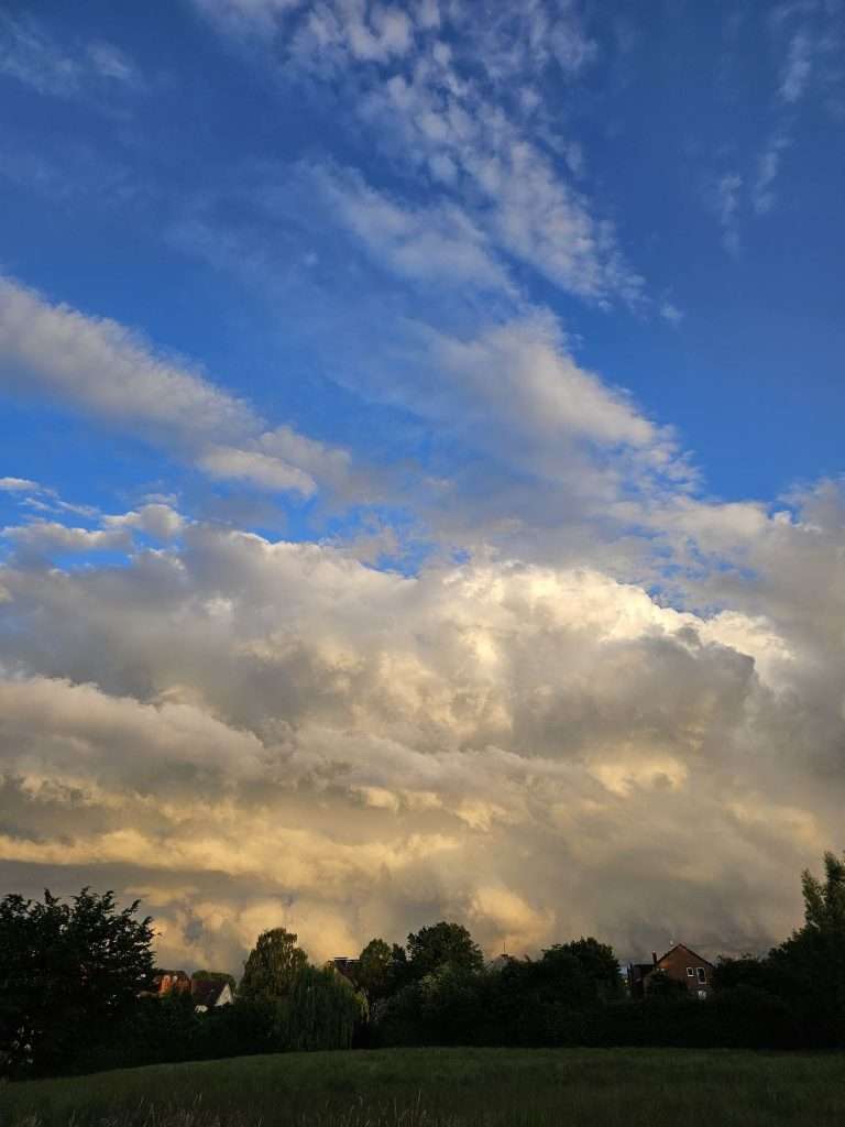 Auf meiner Haut