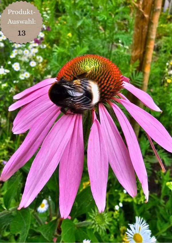 Grußkarten & Postkarten (A6)