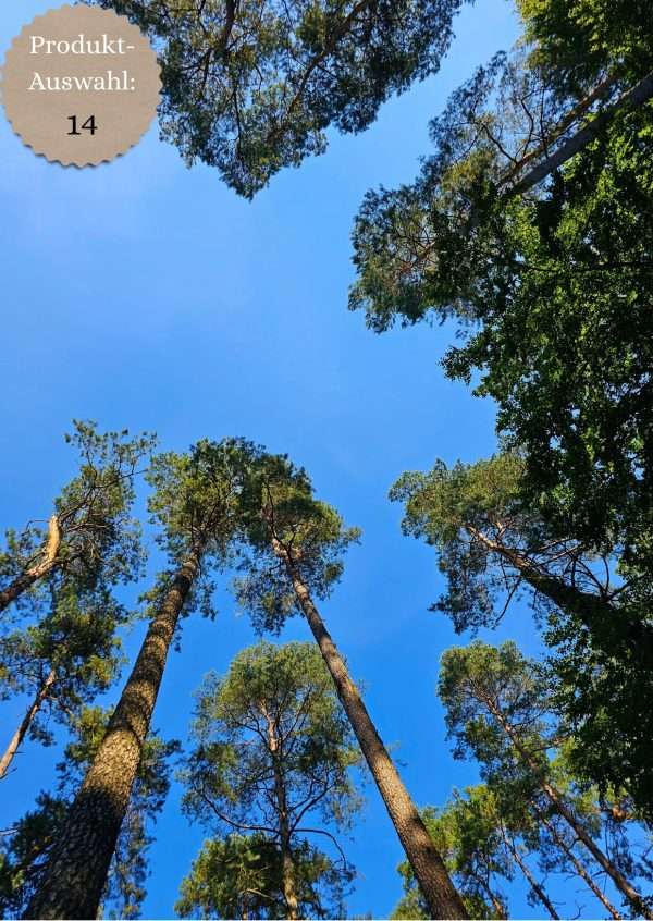 Grußkarten & Postkarten (A6)