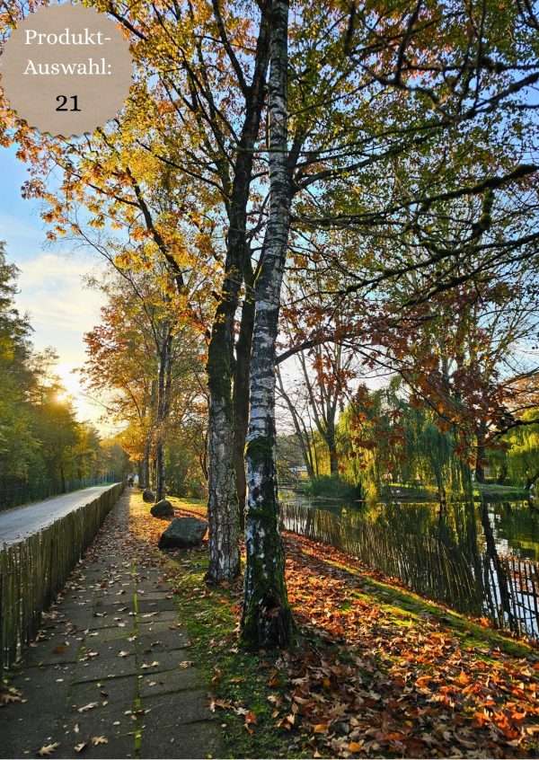 Grußkarten & Postkarten (A6)