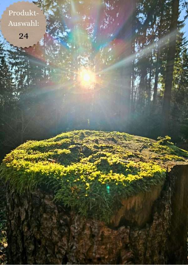 Grußkarten & Postkarten (A6)