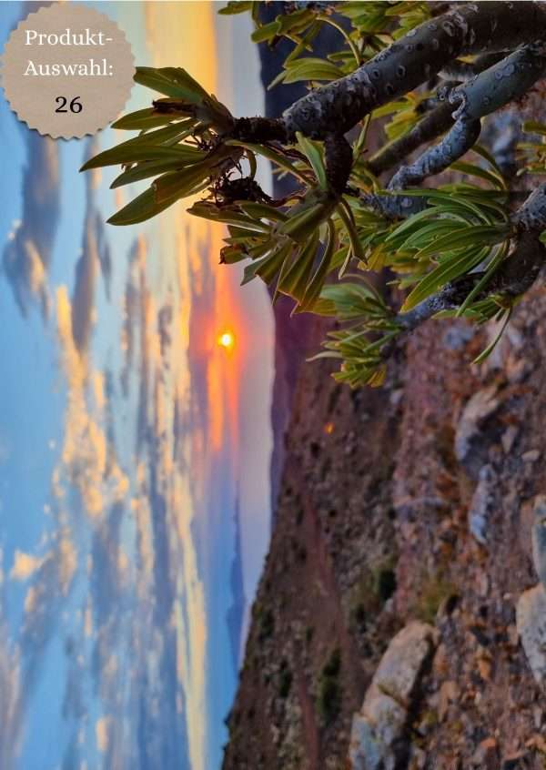 Grußkarten & Postkarten (A6)