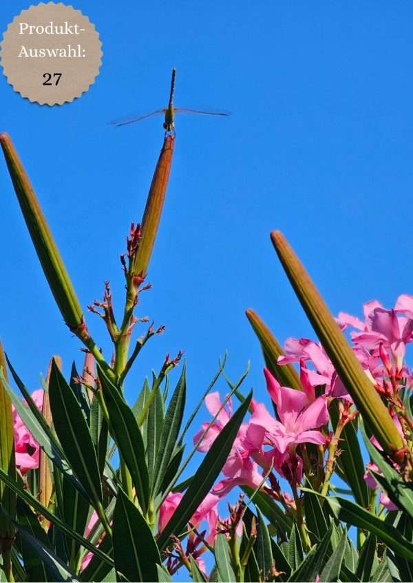 Grußkarten & Postkarten (A6)