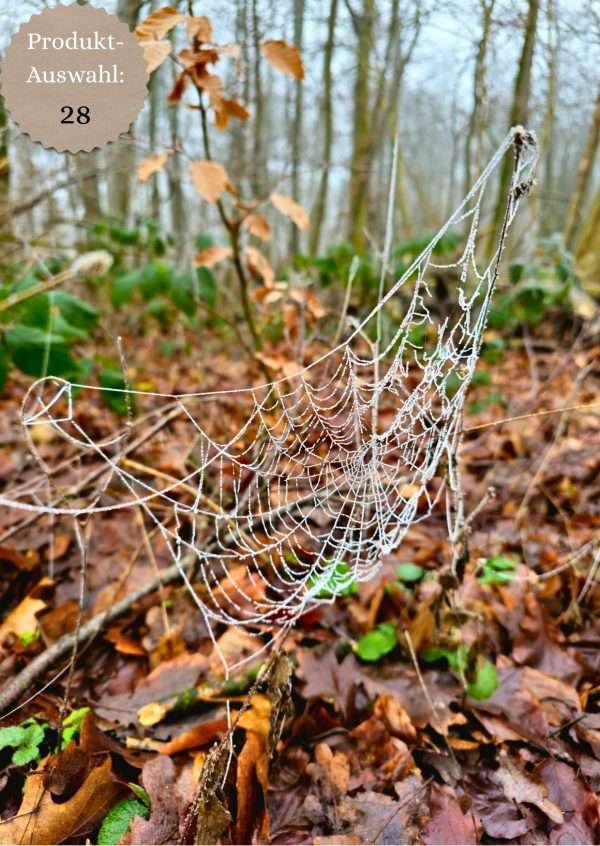 Grußkarten & Postkarten (A6)