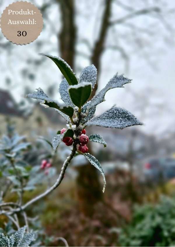 Grußkarten & Postkarten (A6)