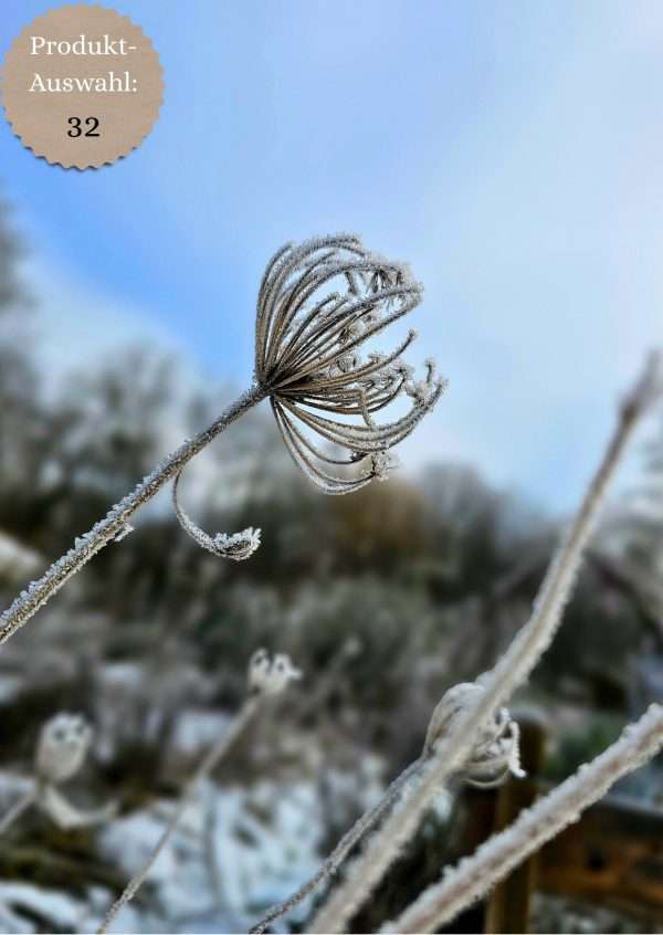 Grußkarten & Postkarten (A6)
