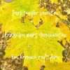 Haiku-Karten | Herbstzauber