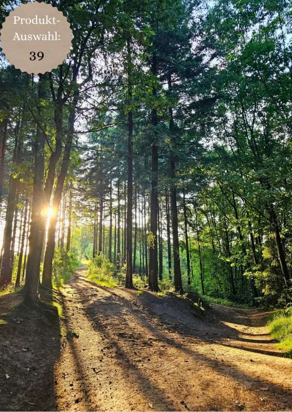 Grußkarten & Postkarten (A6)