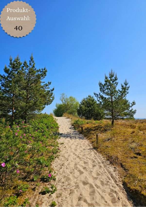 Grußkarten & Postkarten (A6)