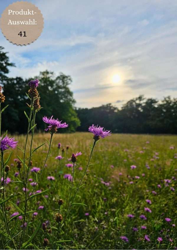Grußkarten & Postkarten (A6)