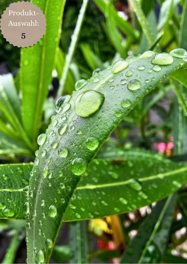 Grußkarten & Postkarten (A6)