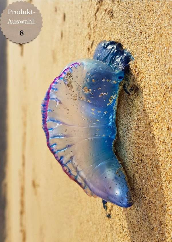 Grußkarten & Postkarten (A6)